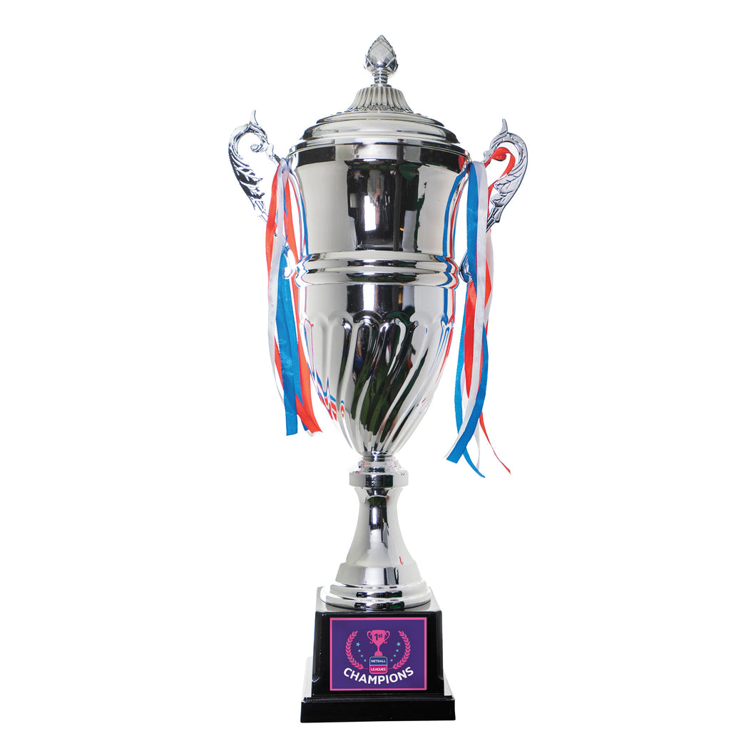 Netball Leagues Large Winners Trophy (Silver)