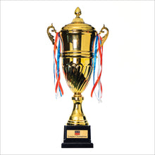 Load image into Gallery viewer, Large Winners Trophy (Gold)
